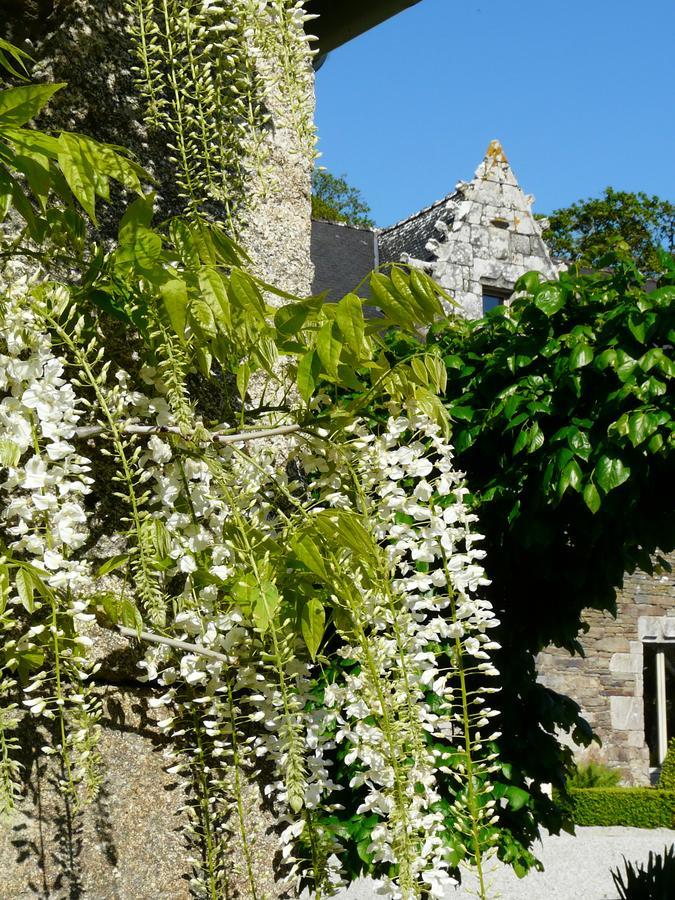 Manoir De Kerledan Hotel Carhaix-Plouguer Kültér fotó